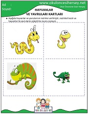 Hayvanlar ve Yavruları Eğitici Kartları